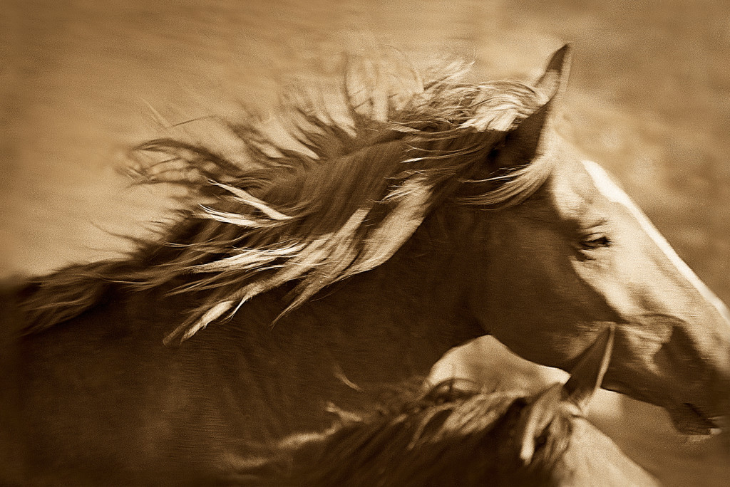 Windswept